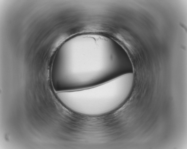 X0000096401459200801240953