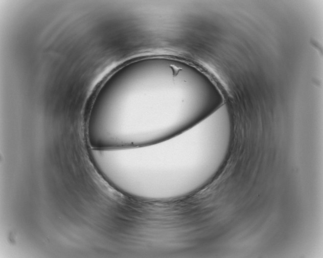 X0000096401460200801240953