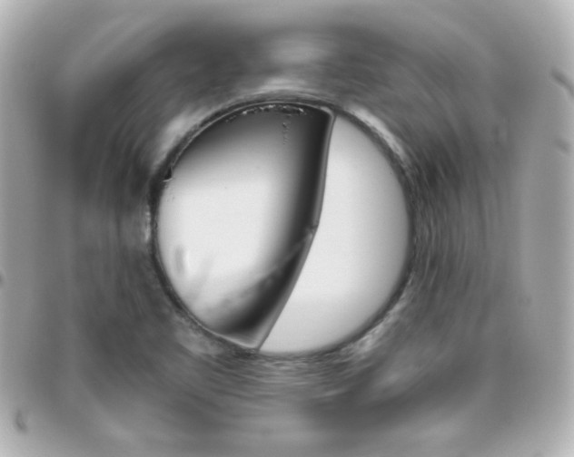 X0000096401461200801240953