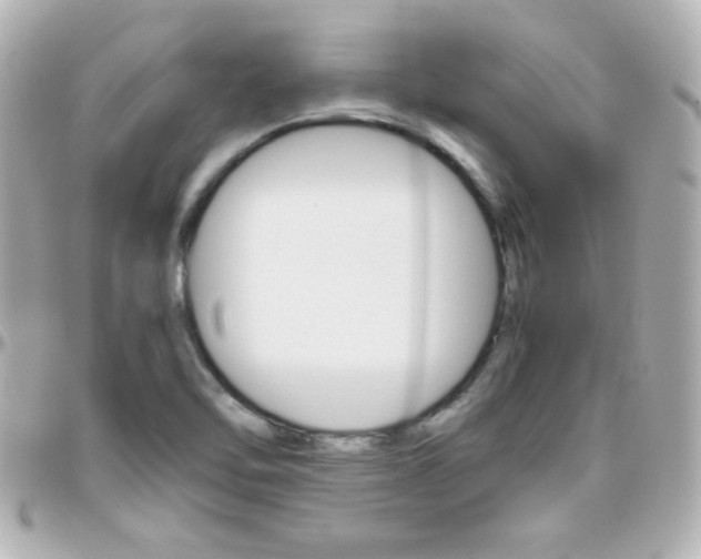 X0000096401462200801240953