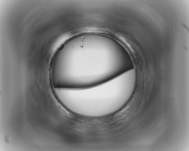 X0000096401463200801240953