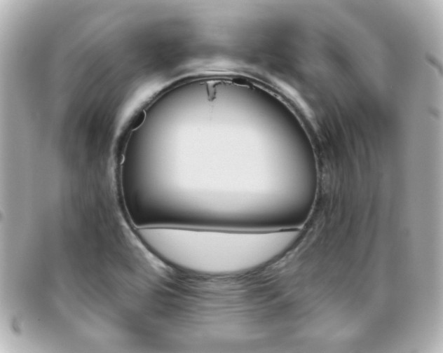 X0000096401464200801240953