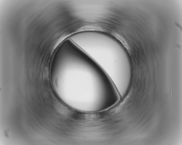 X0000096401465200801240953