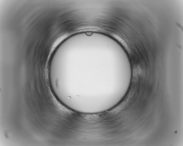 X0000096401466200801240953