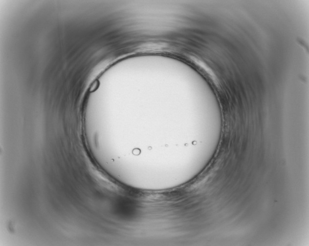 X0000096401467200801240953
