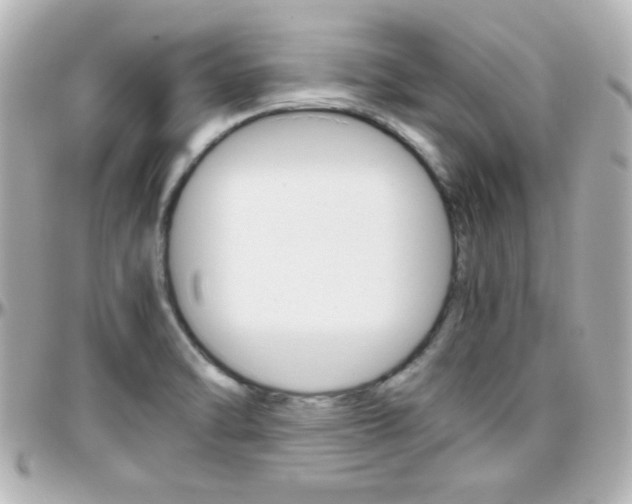 X0000096401470200801240953