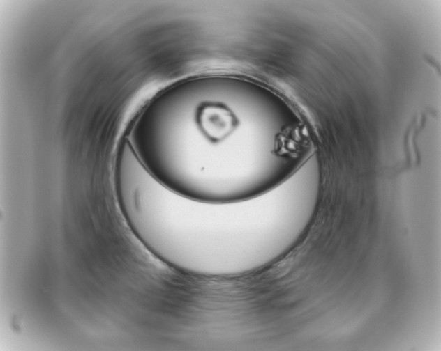 X0000096401472200801240953