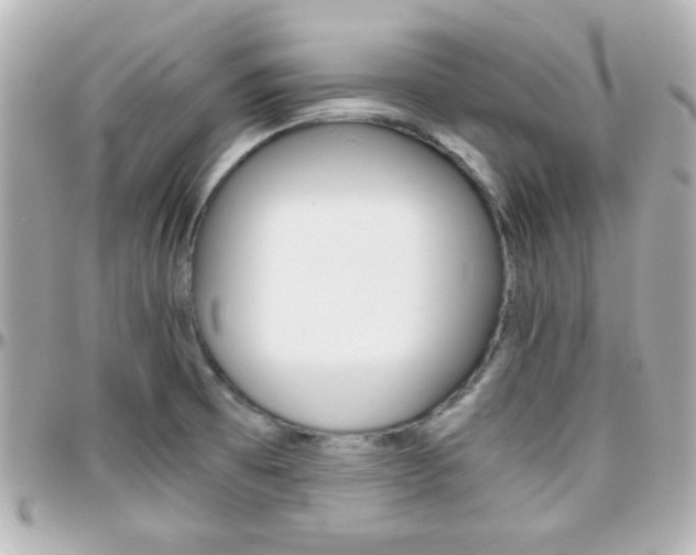 X0000096401473200801240953