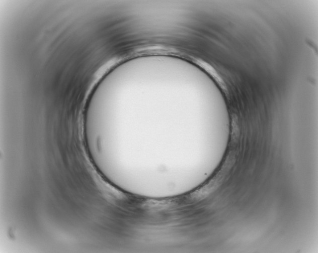 X0000096401474200801240953