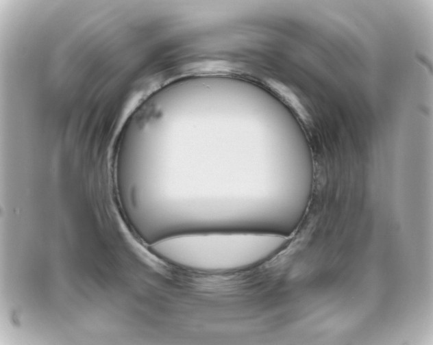 X0000096401475200801240953