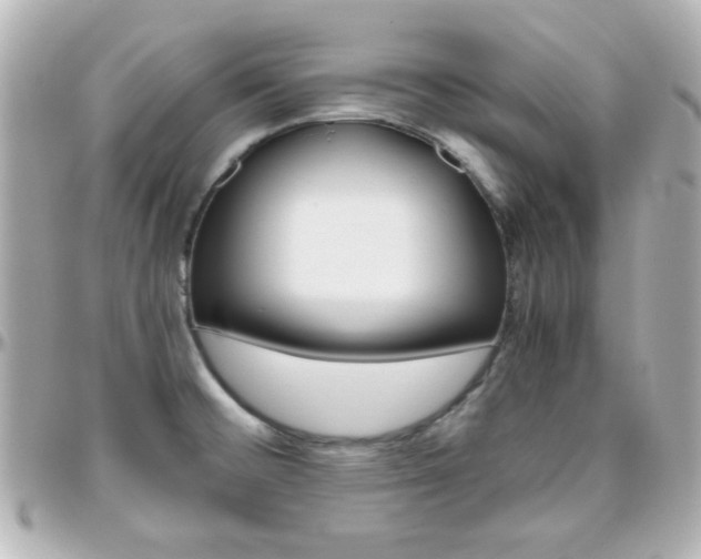 X0000096401476200801240953