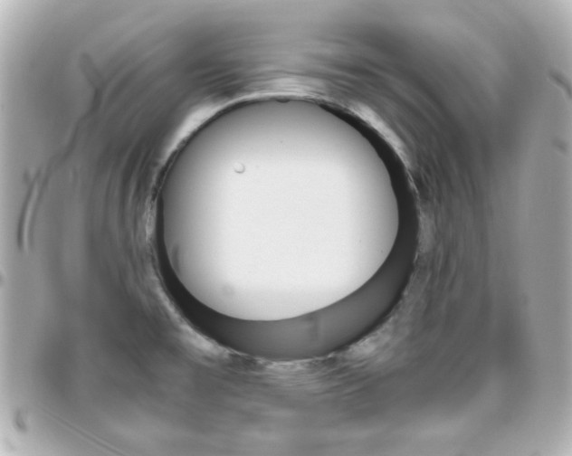 X0000096401477200801240953