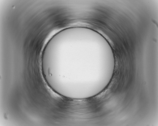 X0000096401478200801240953
