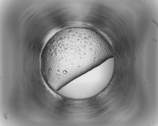 X0000096401479200801240953