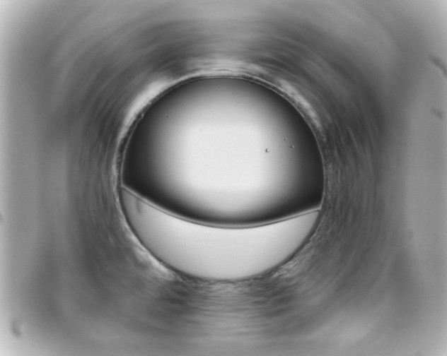 X0000096401480200801240953