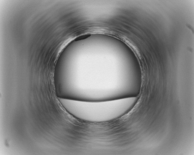 X0000096401481200801240953