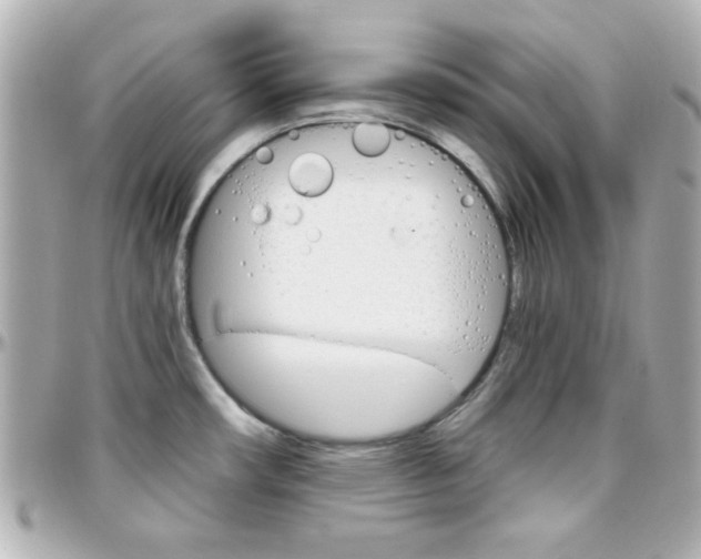 X0000096401482200801240953