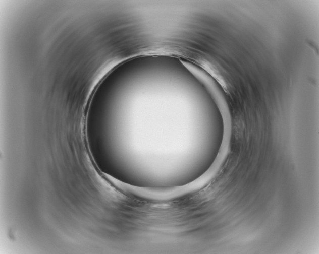 X0000096401484200801240953