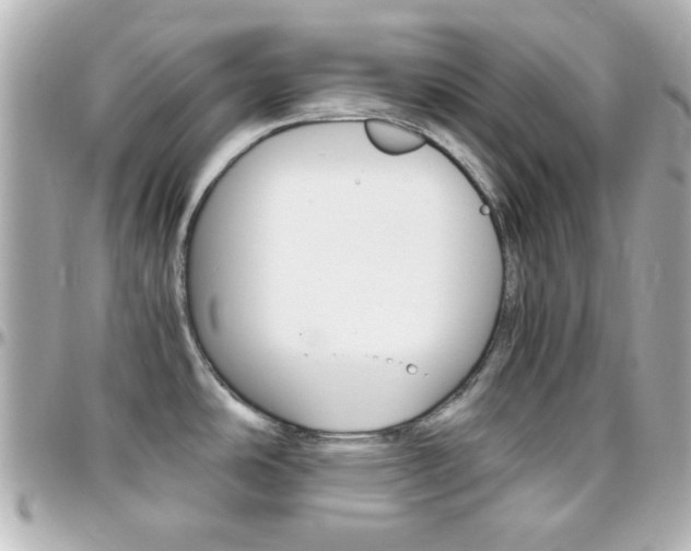 X0000096401486200801240953
