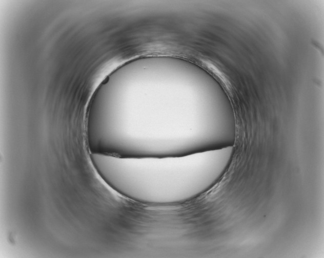 X0000096401487200801240952