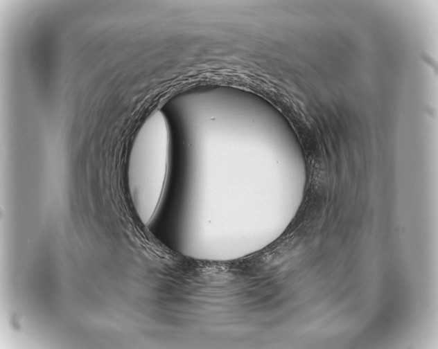 X0000096401489200801240952