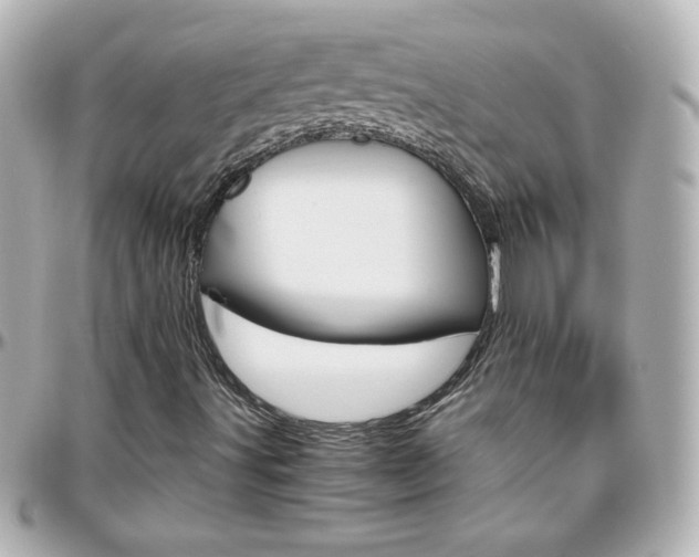 X0000096401491200801240952