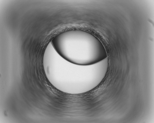 X0000096401492200801240952