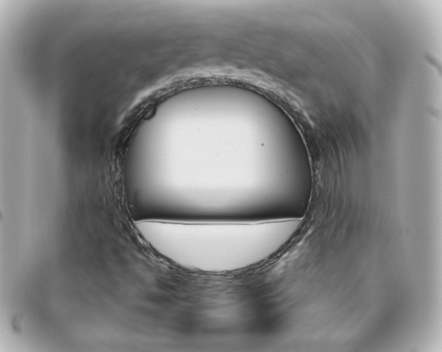 X0000096401494200801240952