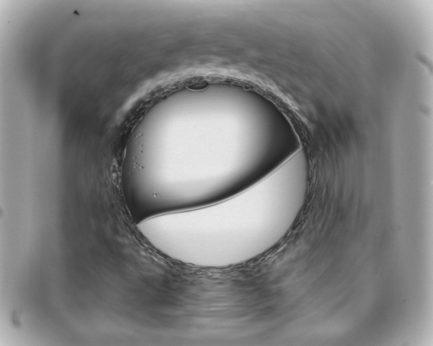 X0000096401495200801240952