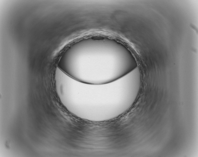 X0000096401496200801240952