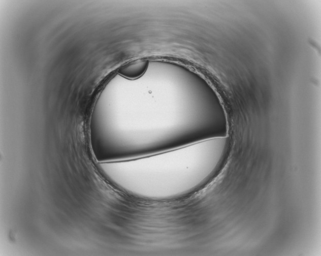 X0000096401497200801240952