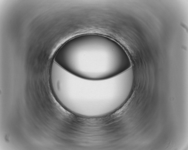 X0000096401500200801240952