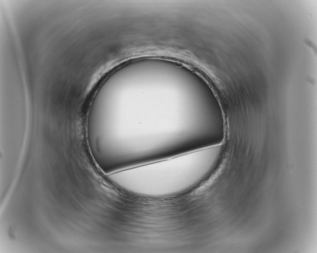 X0000096401501200801240952
