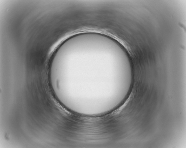X0000096401502200801240952