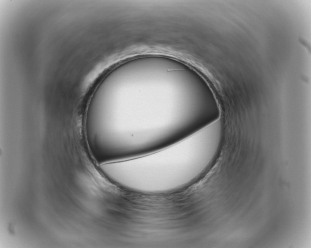 X0000096401503200801240952