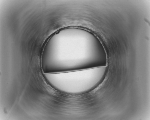 X0000096401505200801240952