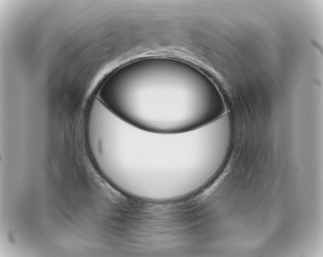 X0000096401506200801240952