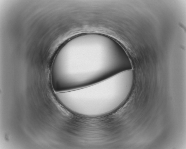 X0000096401507200801240952