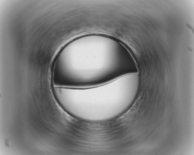 X0000096401508200801240952