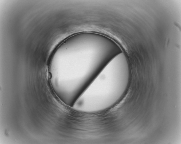 X0000096401509200801240952