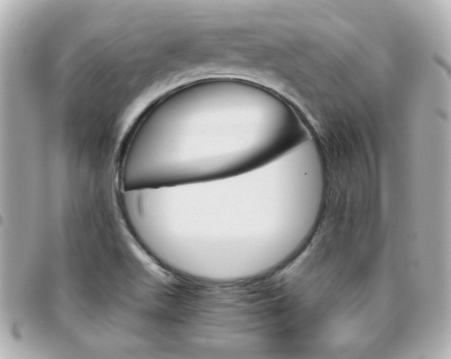 X0000096401511200801240952