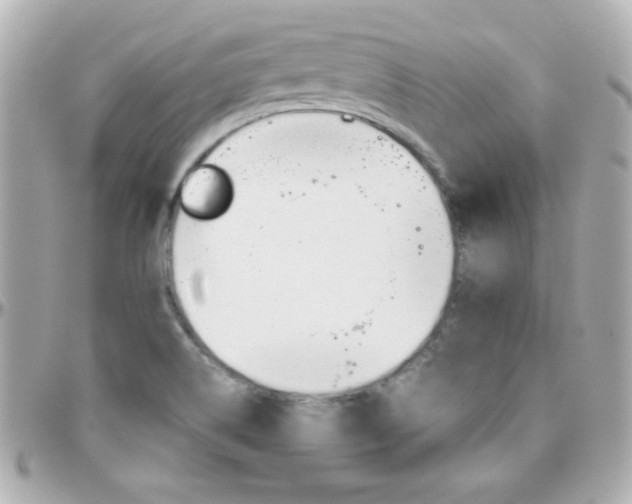 X0000096401514200801240952