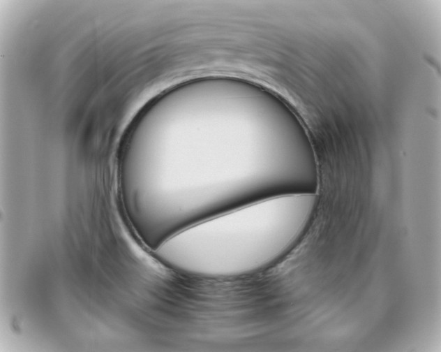X0000096401515200801240952