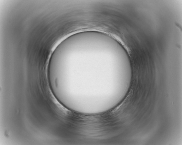 X0000096401516200801240952