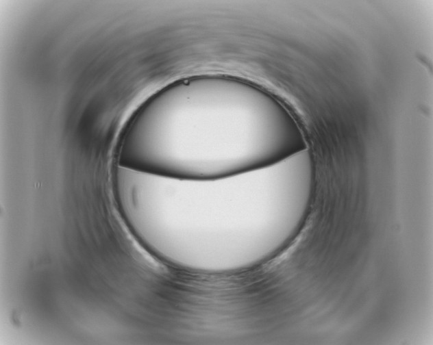 X0000096401517200801240952