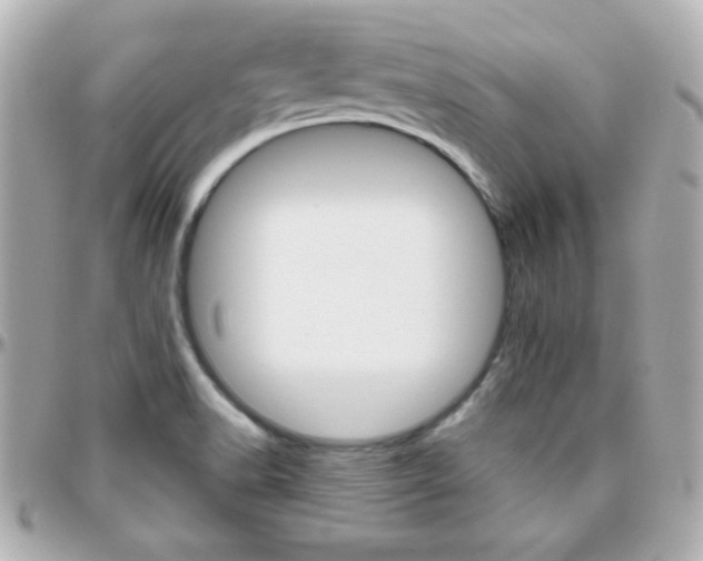 X0000096401518200801240952