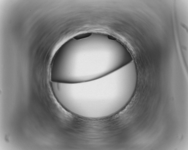 X0000096401520200801240952