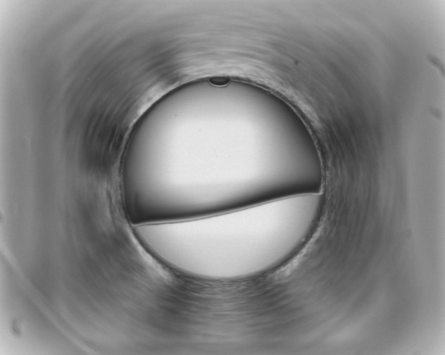 X0000096401521200801240952