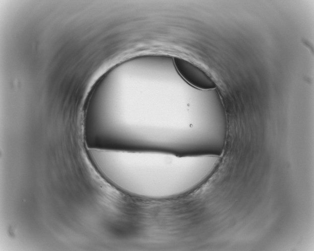 X0000096401522200801240952