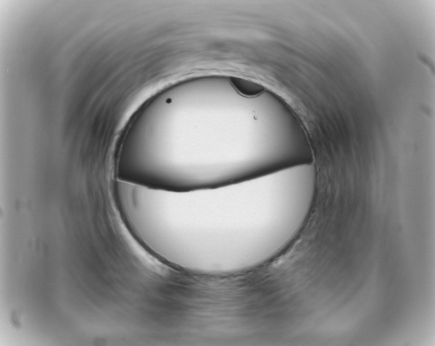 X0000096401523200801240952
